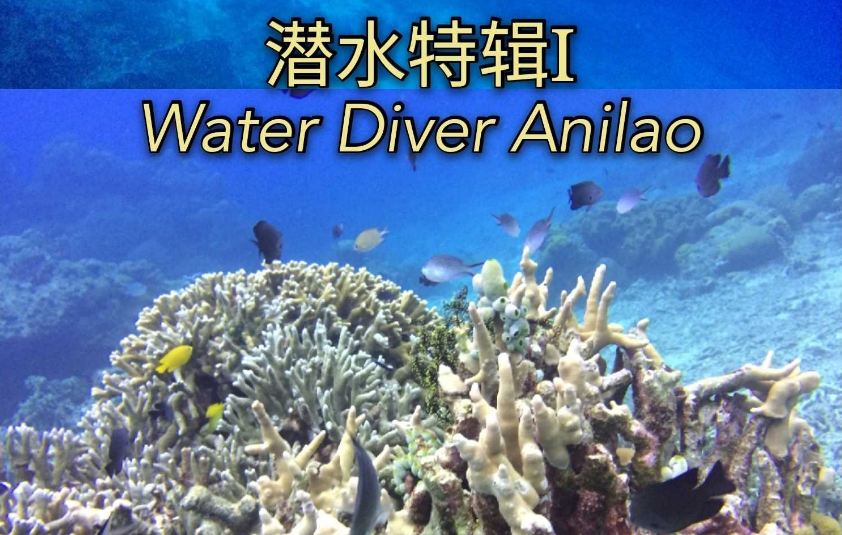 图像 423.png