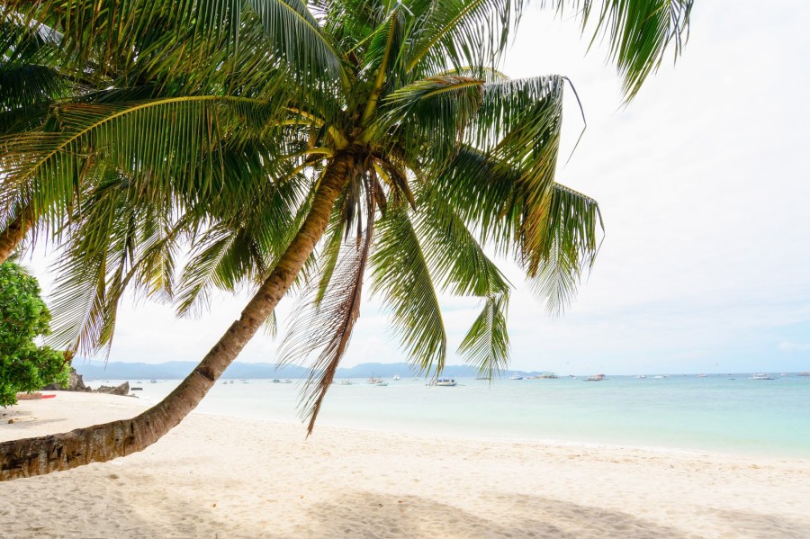 batch____shutterstock_517708735.jpg
