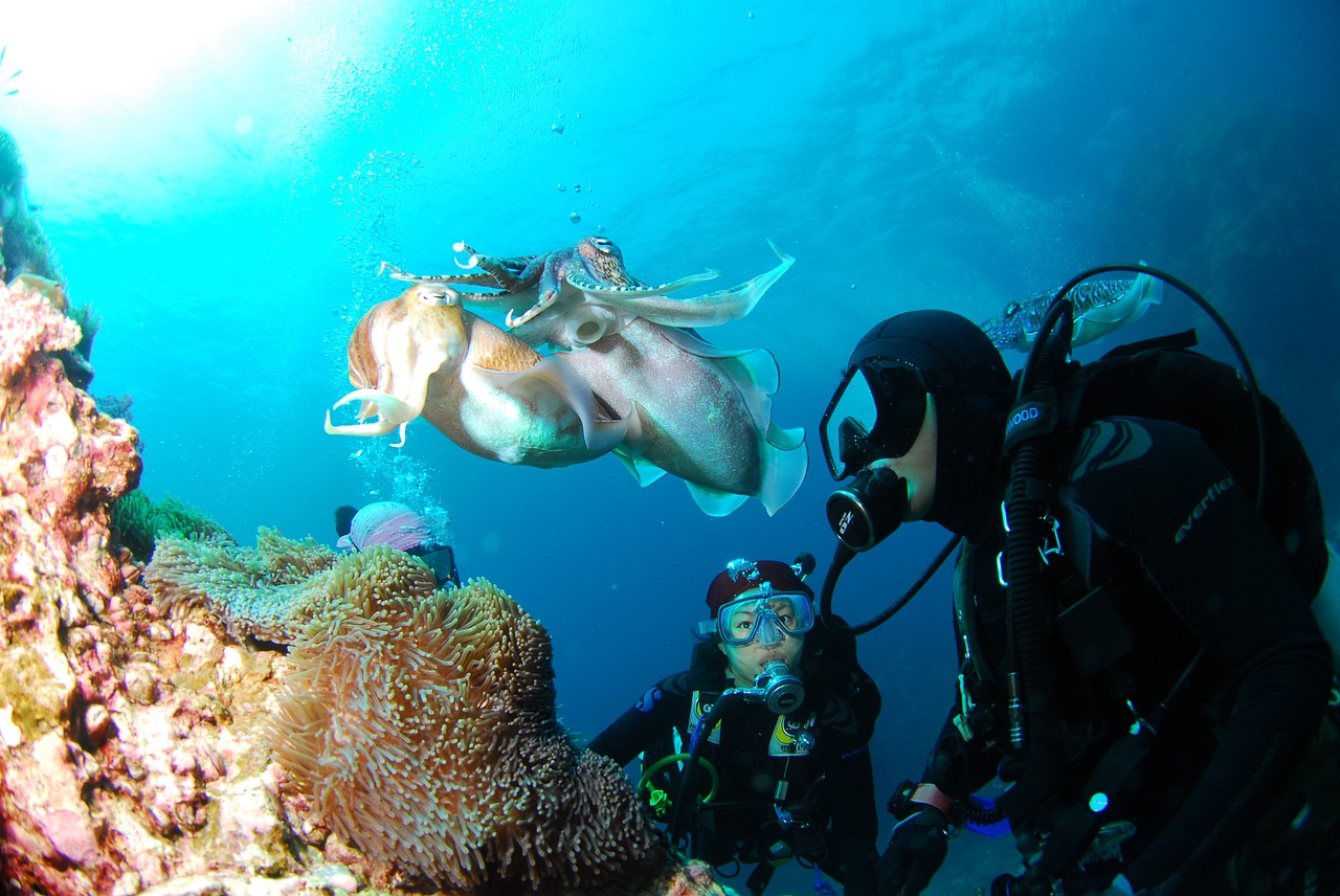 Suba-Diving-Underwater-Adventure.jpg