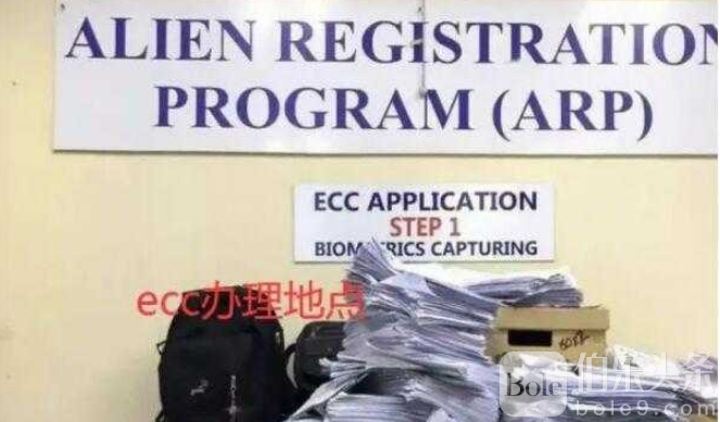 图像 20.png