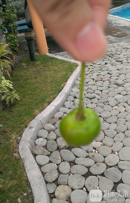 095606vr29uvukklttwyok.jpg