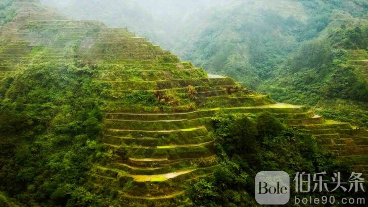 Banaue-Rice-Terraces-Philippines-728x410.jpg