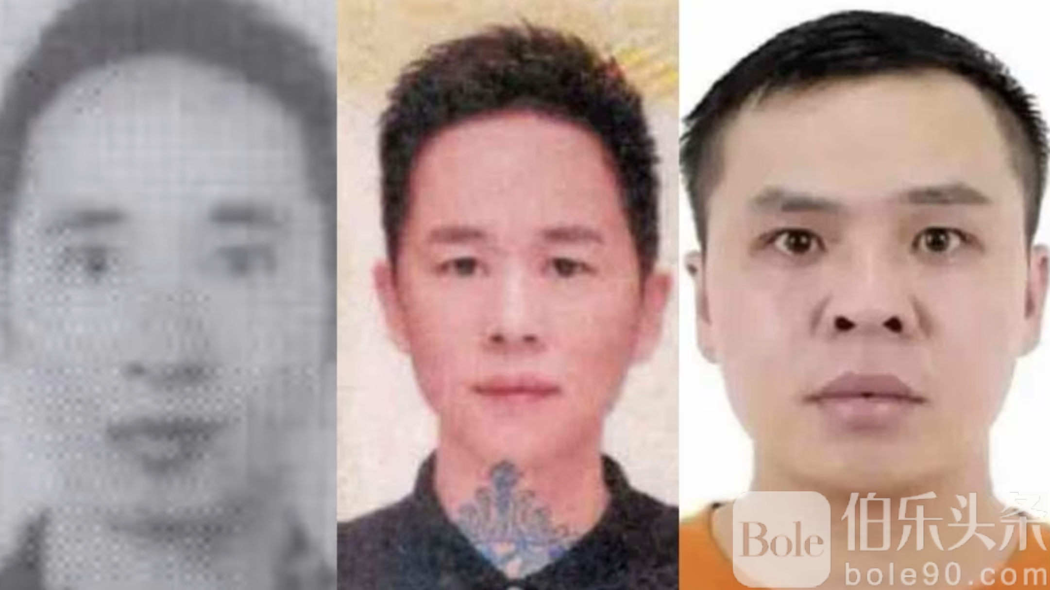 图片_20240603144229.png