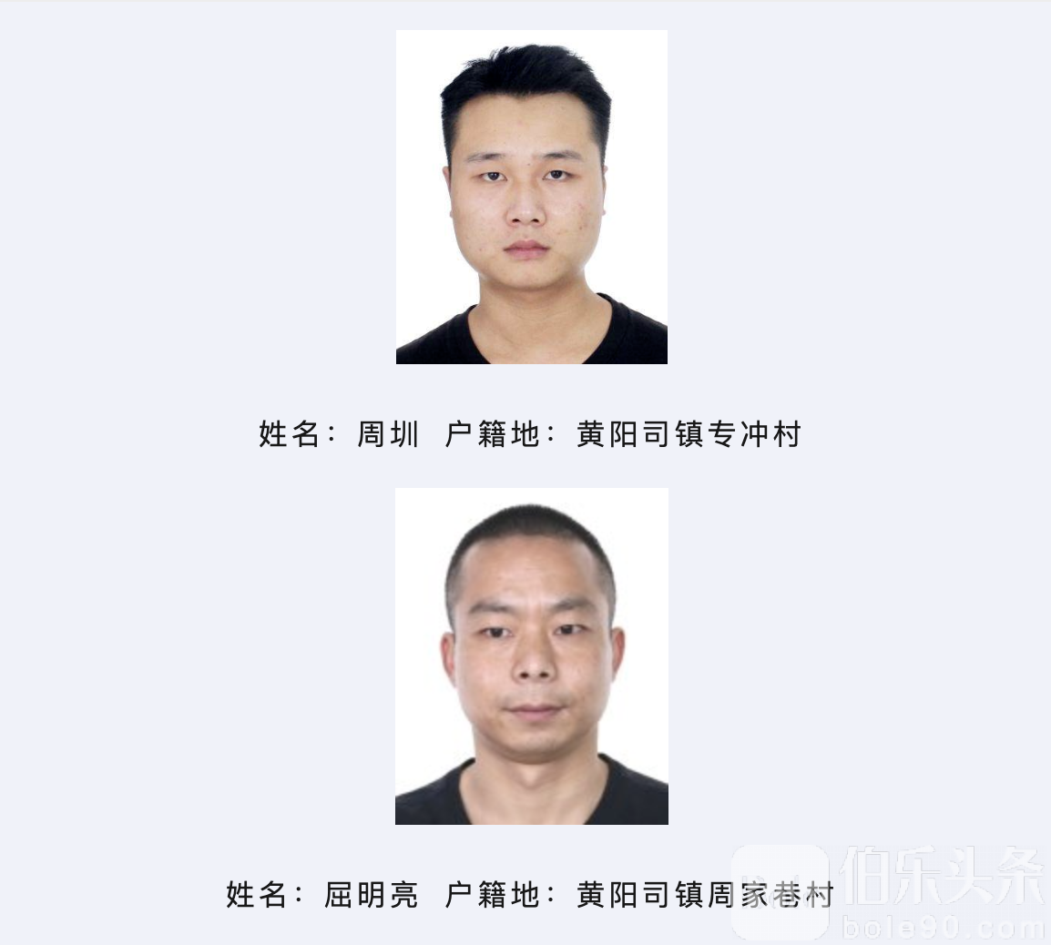 截屏2025-03-06 13.45.14.png
