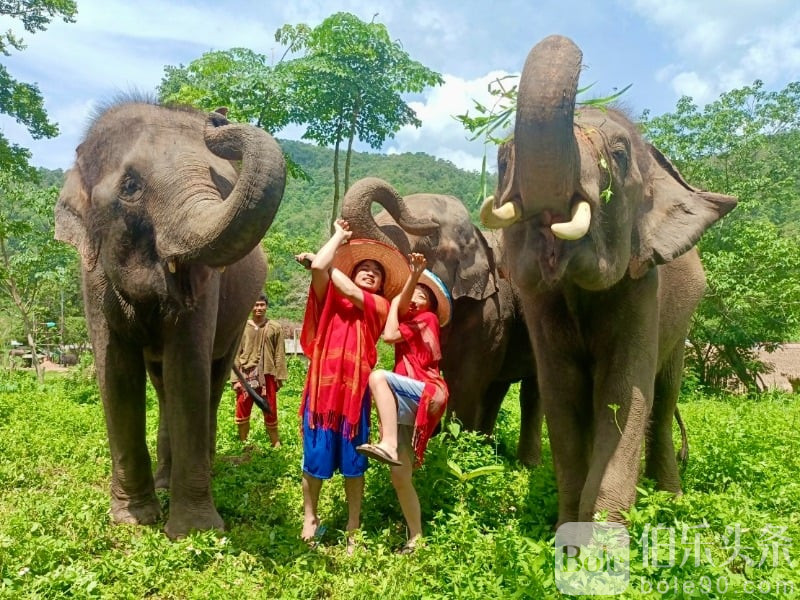 Chiang-Mai-Mountain-Sanctuary-3.jpg