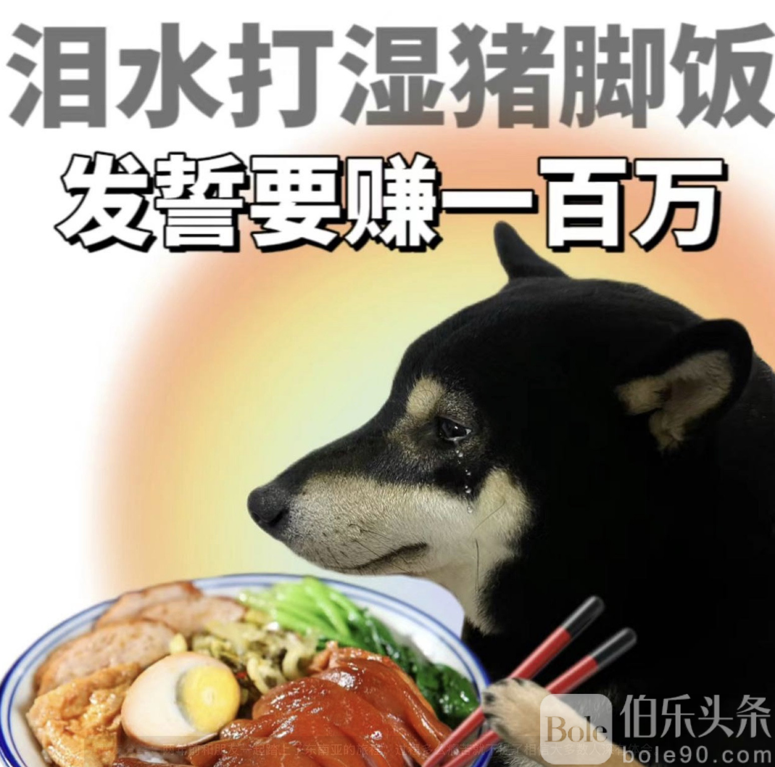 图像2025-6-24 14.55.jpeg