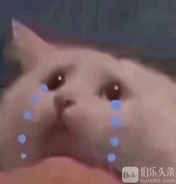 图像2025-7-14 14.55.jpeg