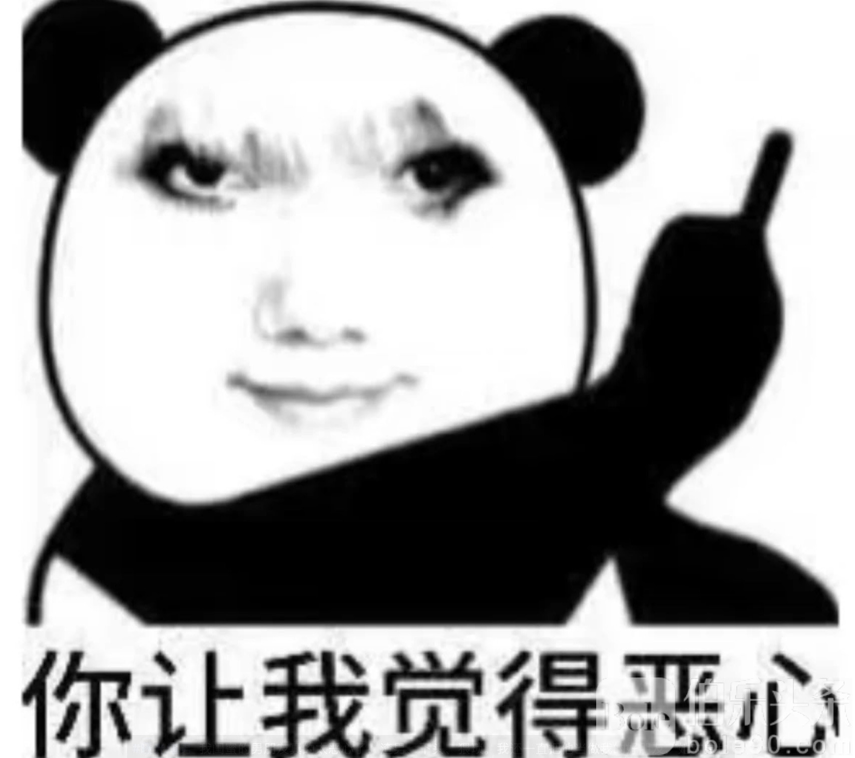 图像2025-7-31 13.44.jpeg