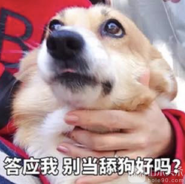 图像2025-8-3 13.37.jpeg