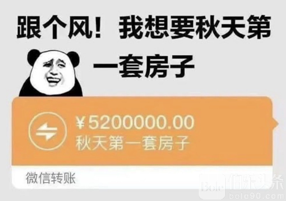 图像2025-8-8 12.37.jpeg
