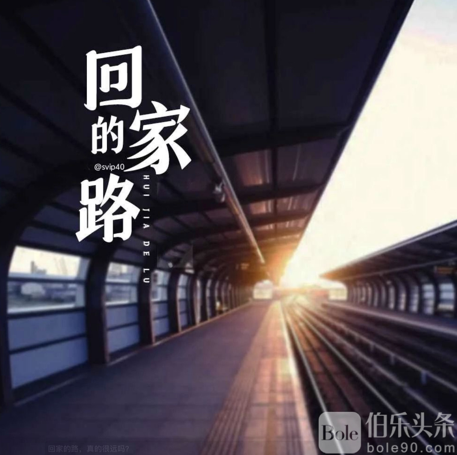 图像2025-8-10 12.48.jpeg