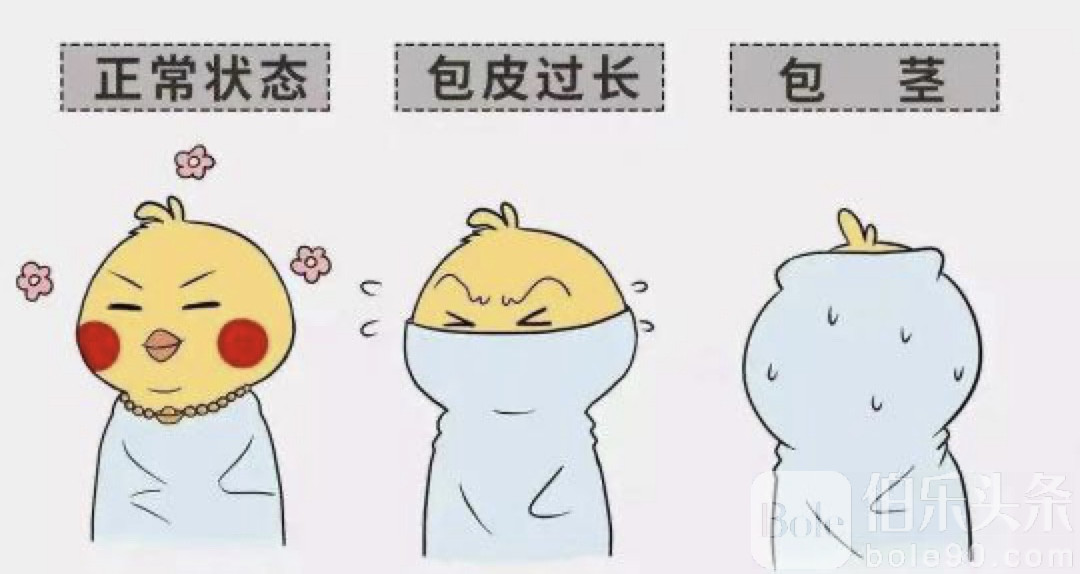 图像2025-8-13 12.50.jpeg