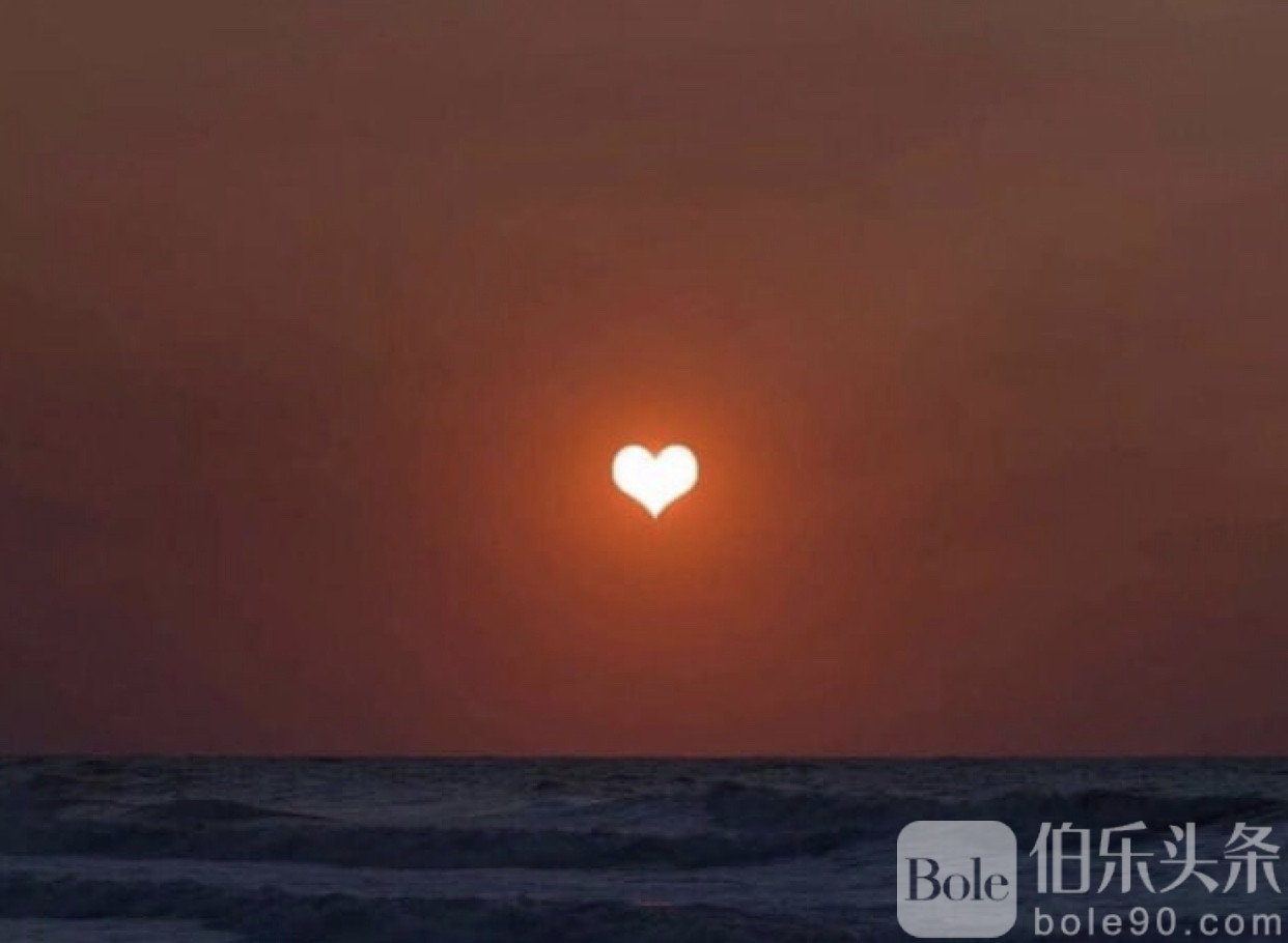 图像2025-8-29 12.42.jpeg