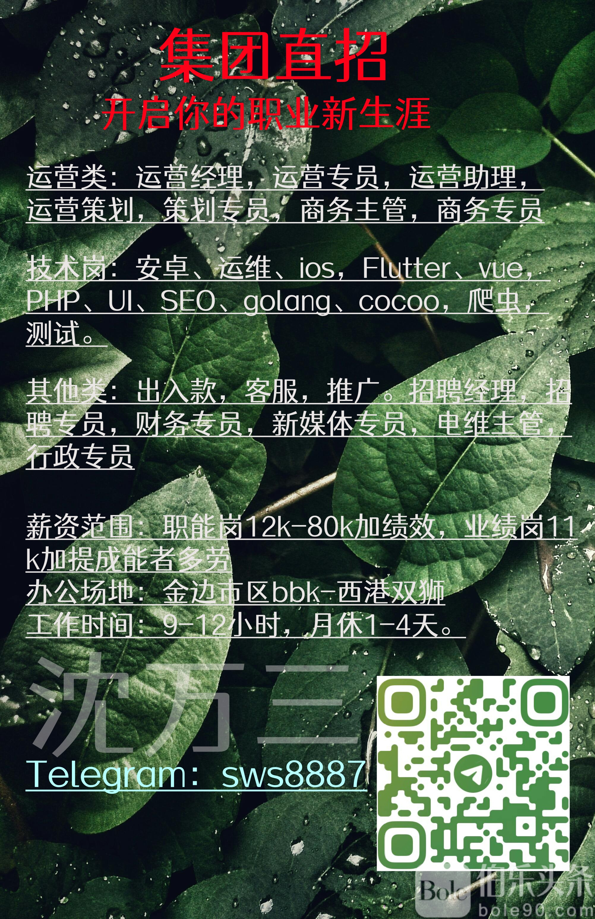 招人简介.jpg