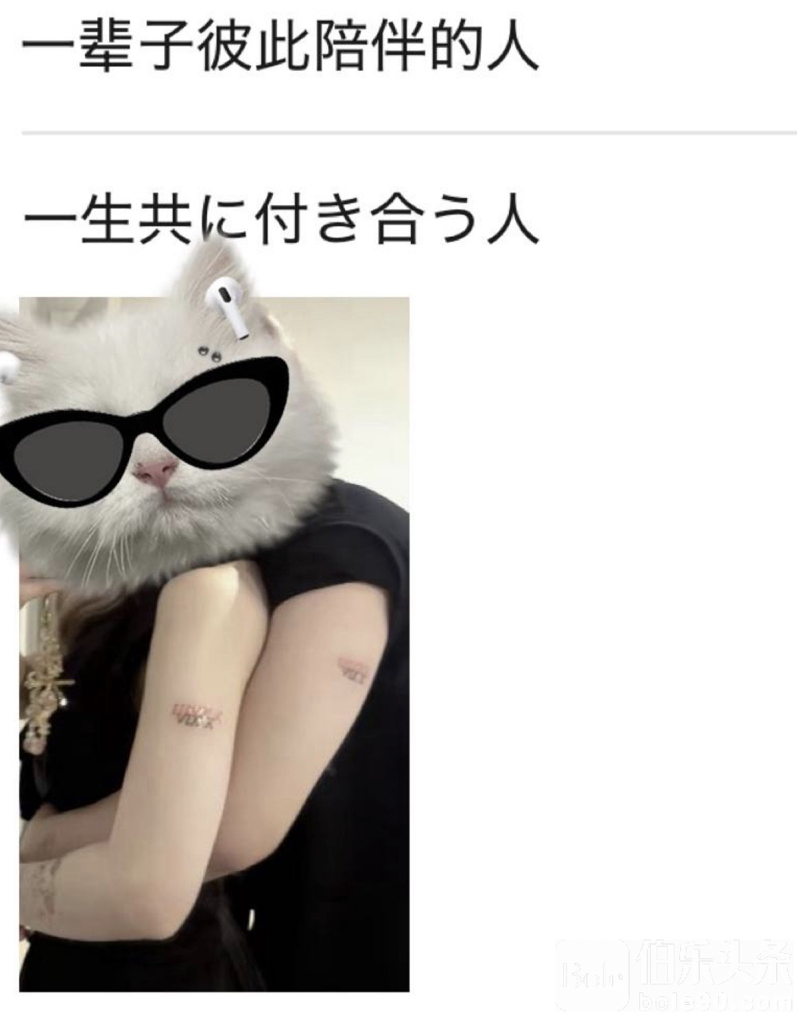 图像2025-9-9 12.32.jpeg