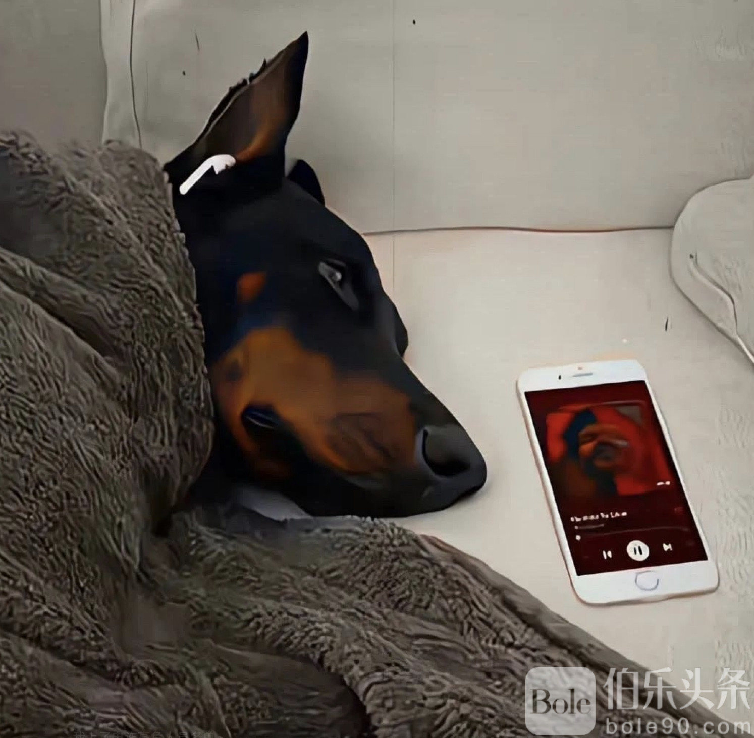 图像2025-10-28 12.19.jpeg 图像2025-10-28 12.19.jpeg