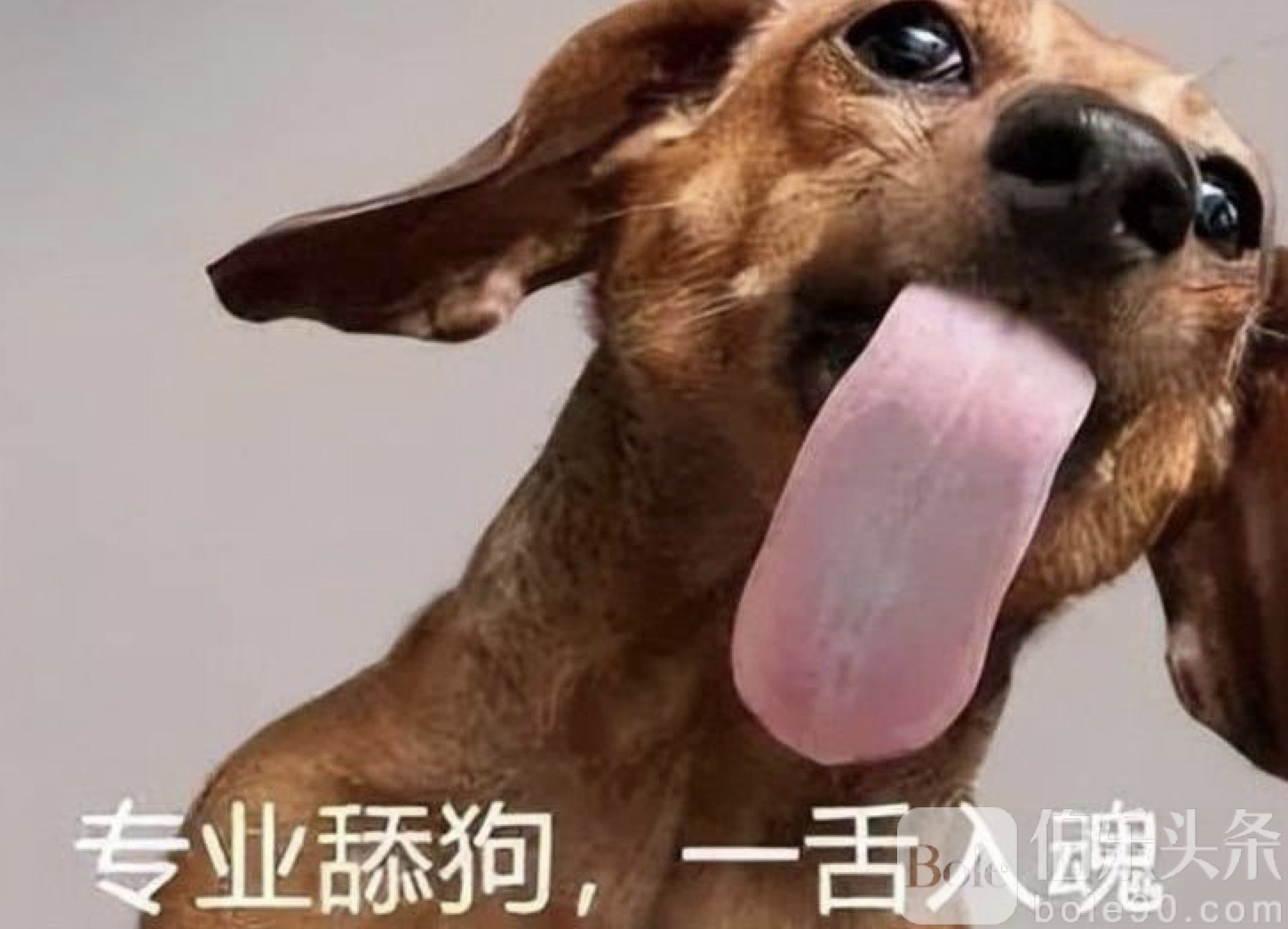 图像2025-10-29 12.24.jpeg 图像2025-10-29 12.24.jpeg