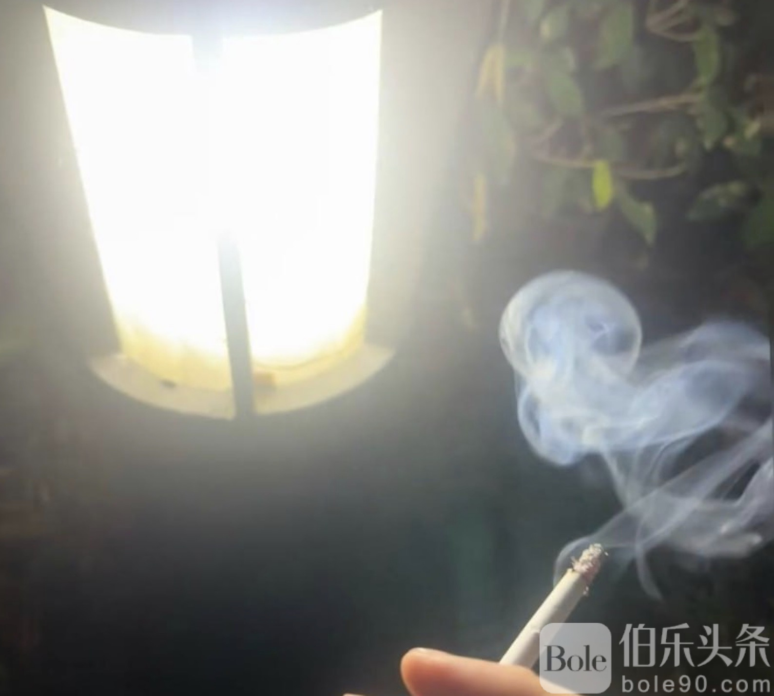 图像2025-10-29 12.27.jpeg 图像2025-10-29 12.27.jpeg