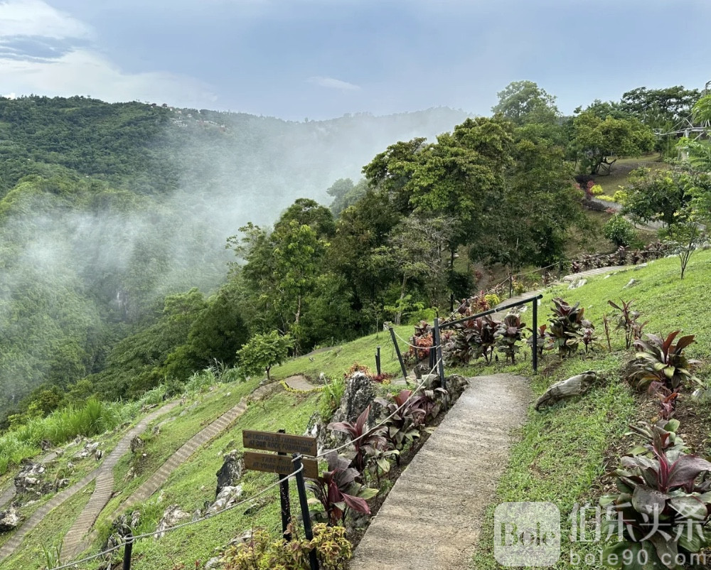 图像2025-11-3 12.42 (3).jpeg