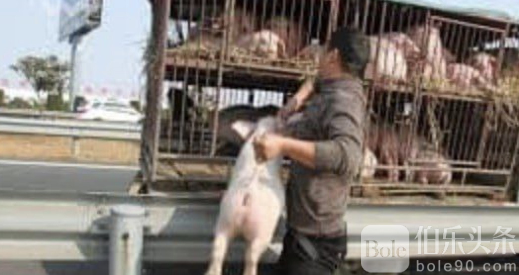 图像2025-11-4 10.42.jpeg