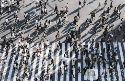 图像2025-11-6 12.40.jpeg