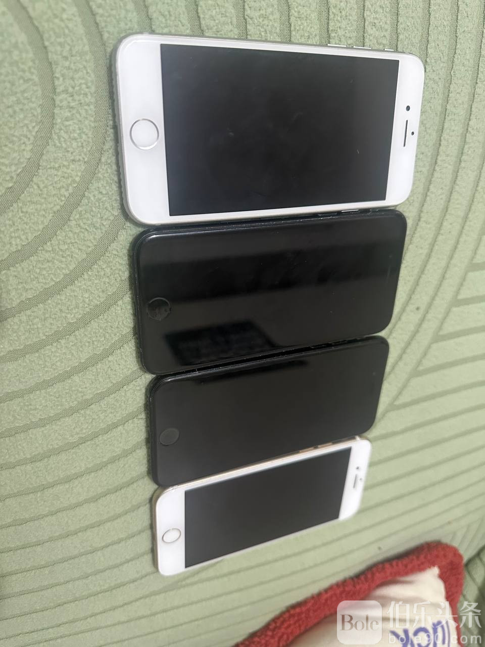 photo_2025-11-06 16.24.49.jpeg