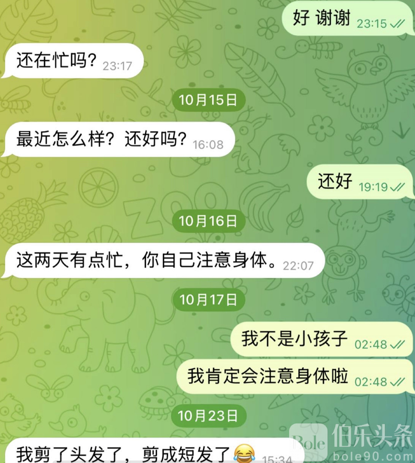 图像2025-11-14 12.40.jpeg
