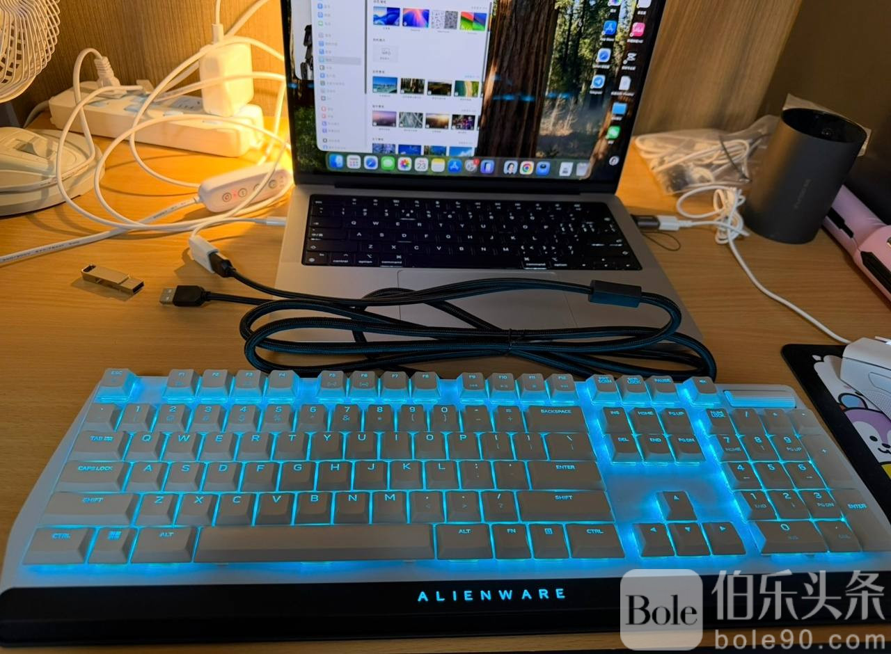 photo_2025-11-21 16.02.13.jpeg