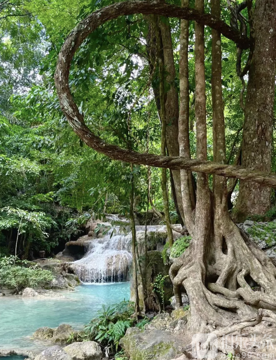 截屏2025-11-21 16.40.54.png