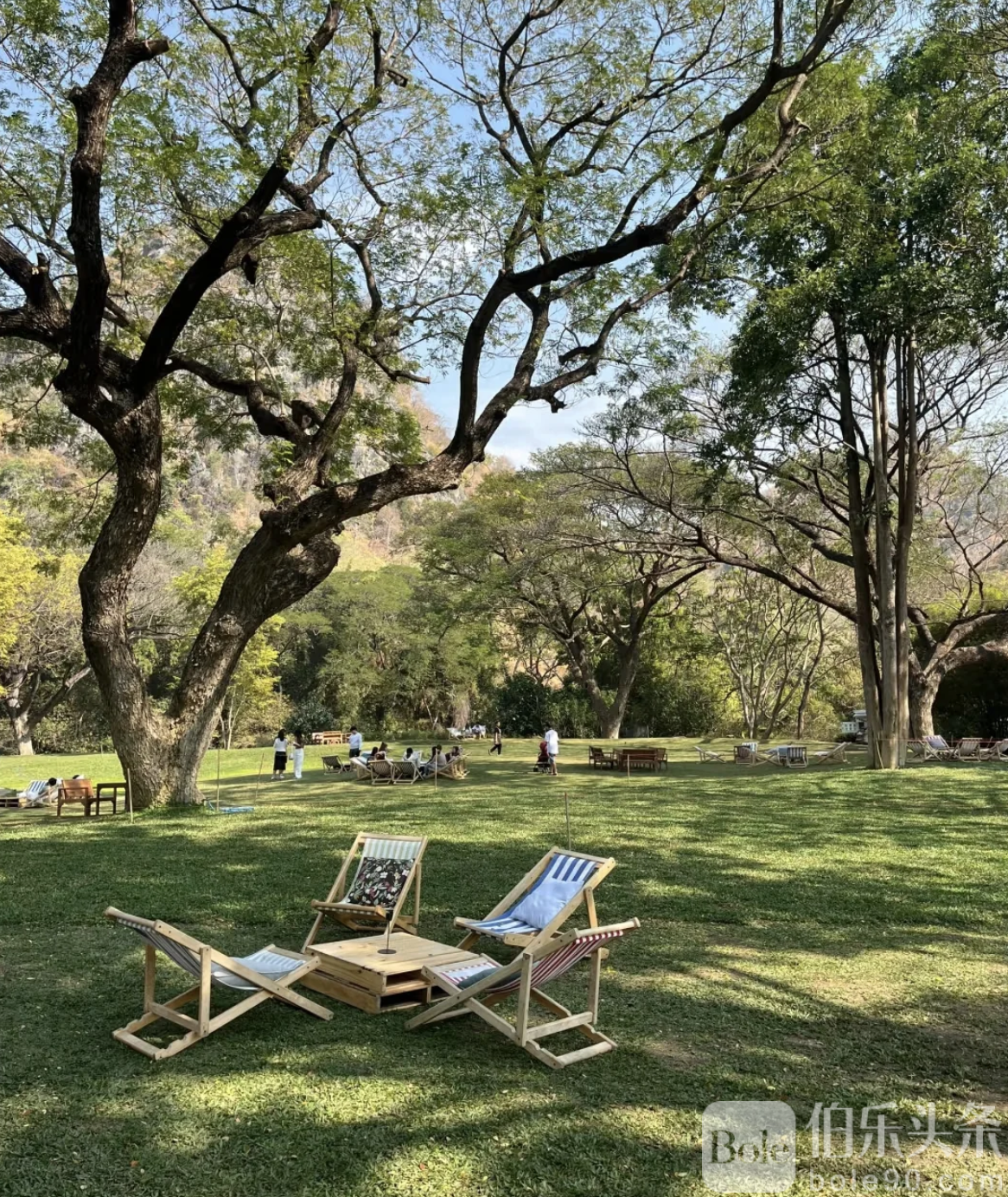 截屏2025-11-21 16.52.11.png