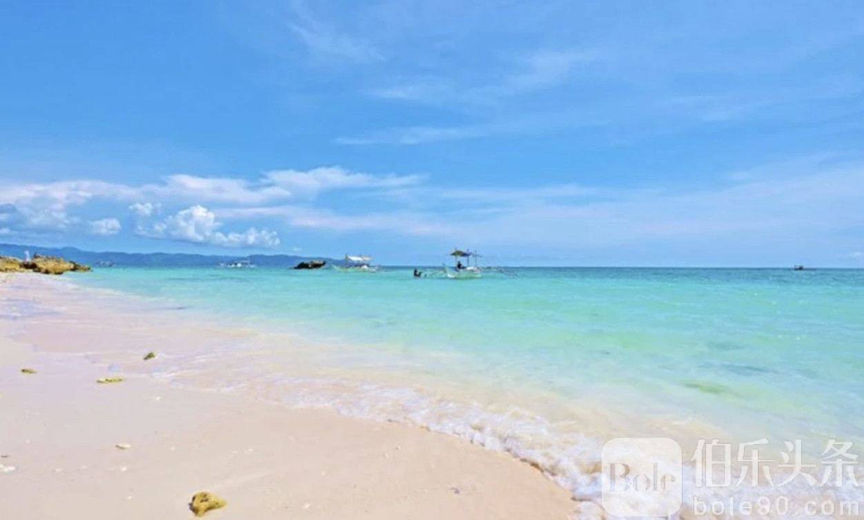 图像2025-12-1 12.32.jpeg