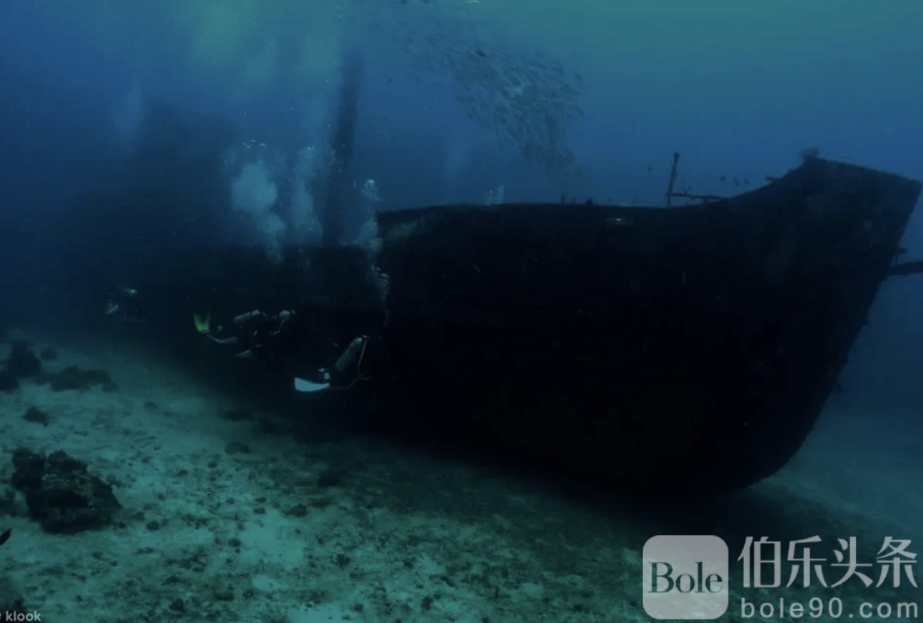 图像2025-12-1 12.34.jpeg