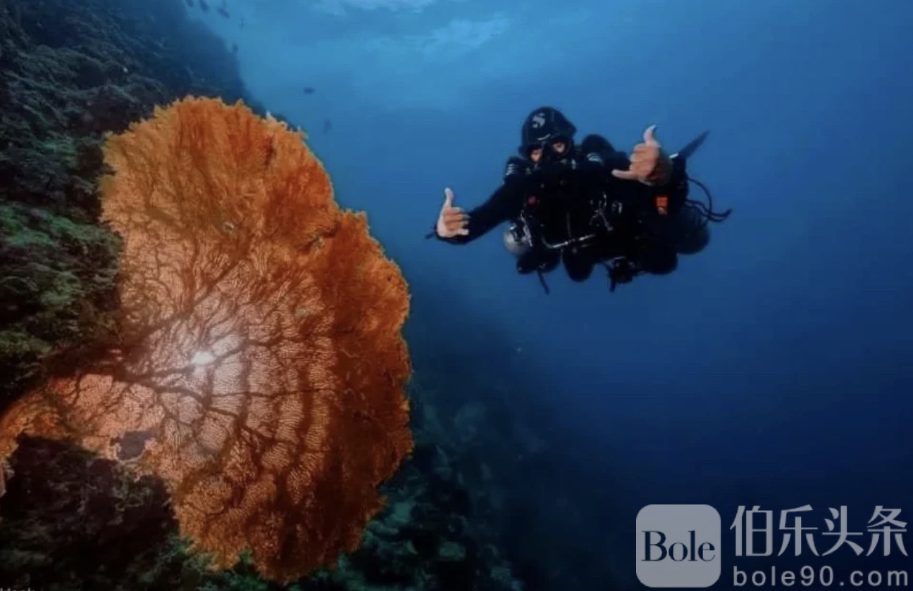 图像2025-12-1 12.34 (2).jpeg