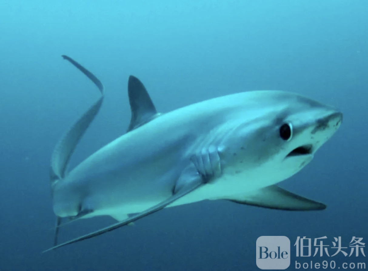 图像2025-12-1 12.34 (5).jpeg