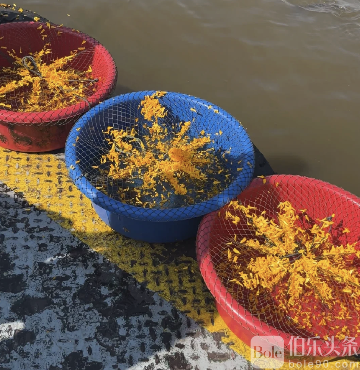 截屏2025-12-03 00.07.01.png