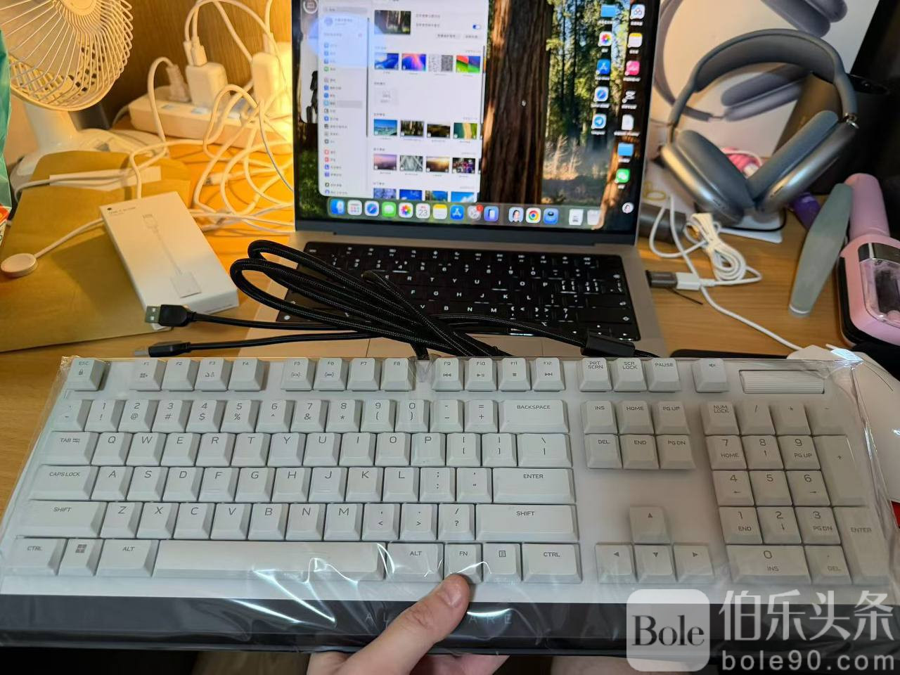 photo_2025-12-03 16.30.18.jpeg