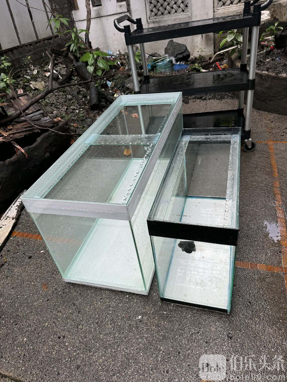 photo_2025-12-11 14.31.53.jpeg