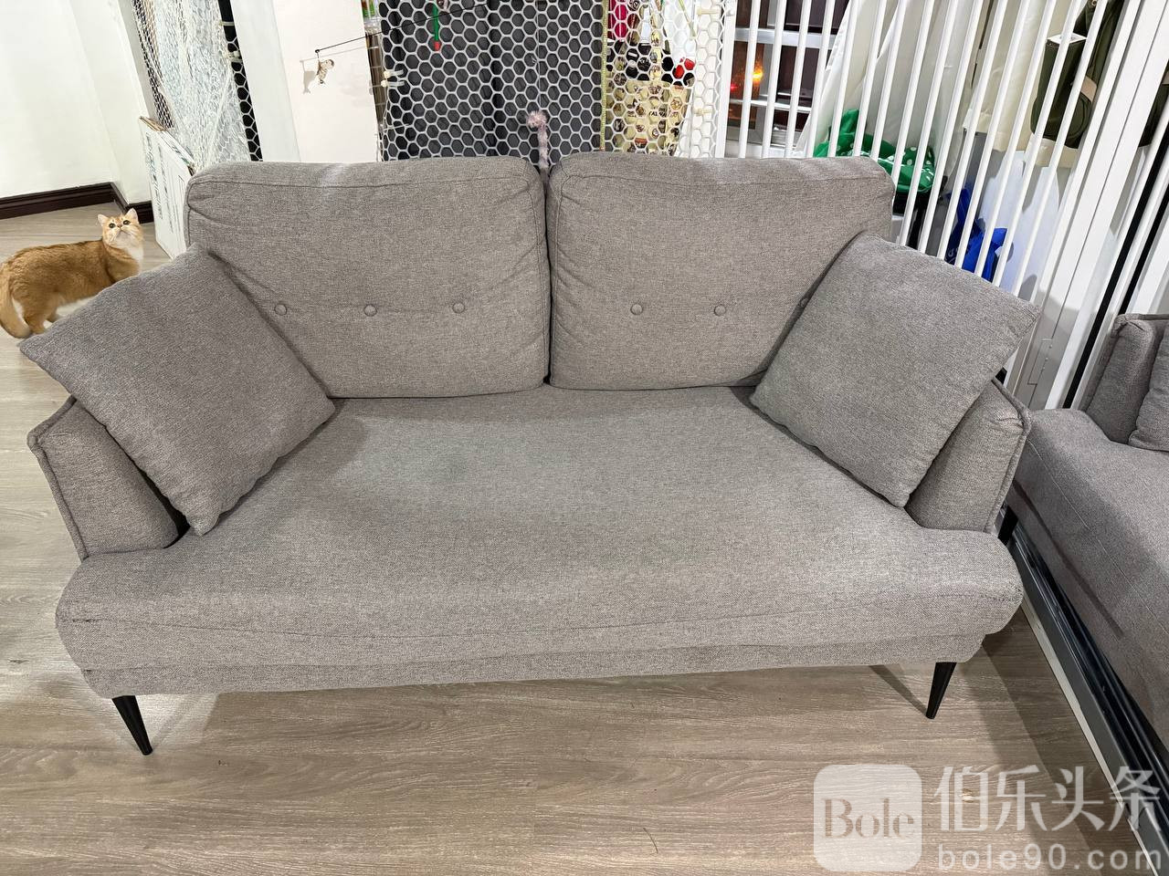 photo_2025-12-12 14.40.38.jpeg