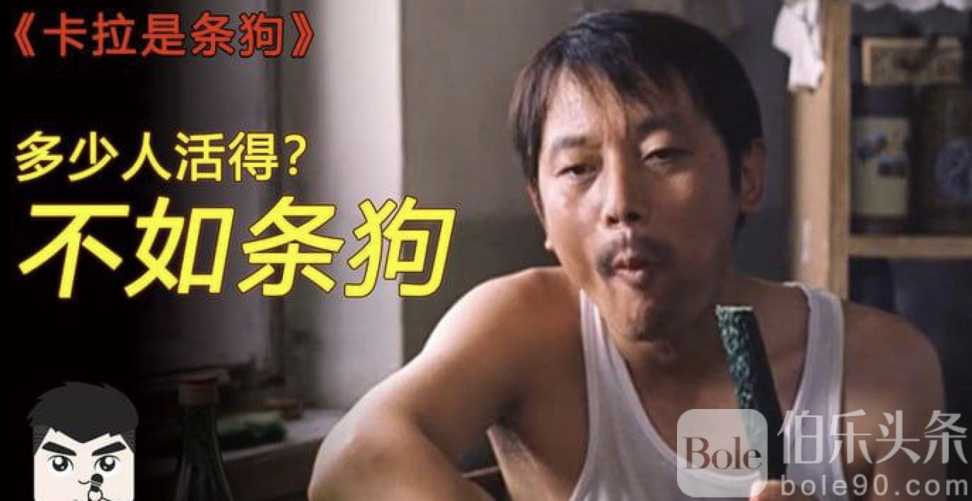 图像2025-12-13 12.39.jpeg