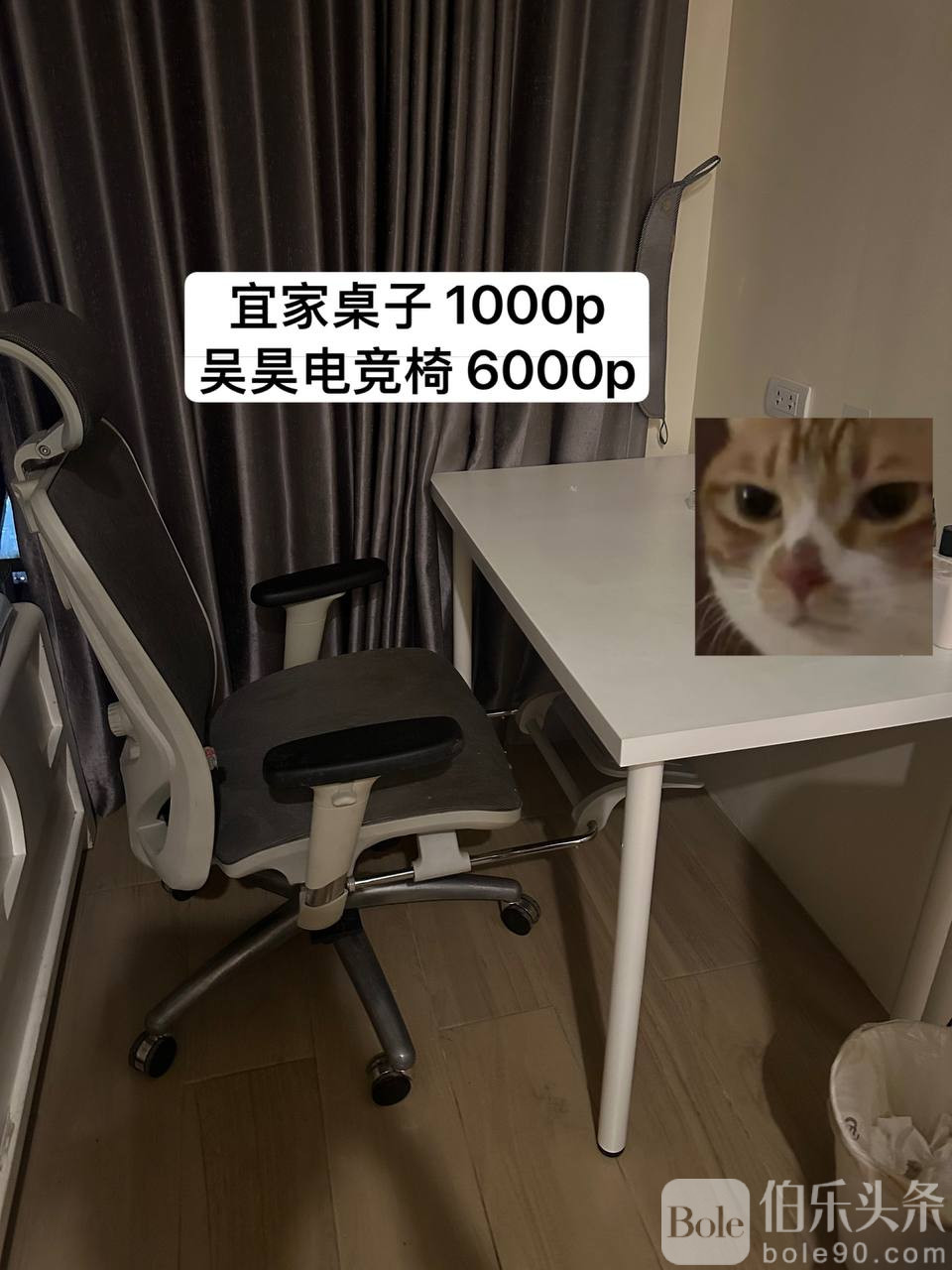 photo_2025-12-26 14.31.26.jpeg