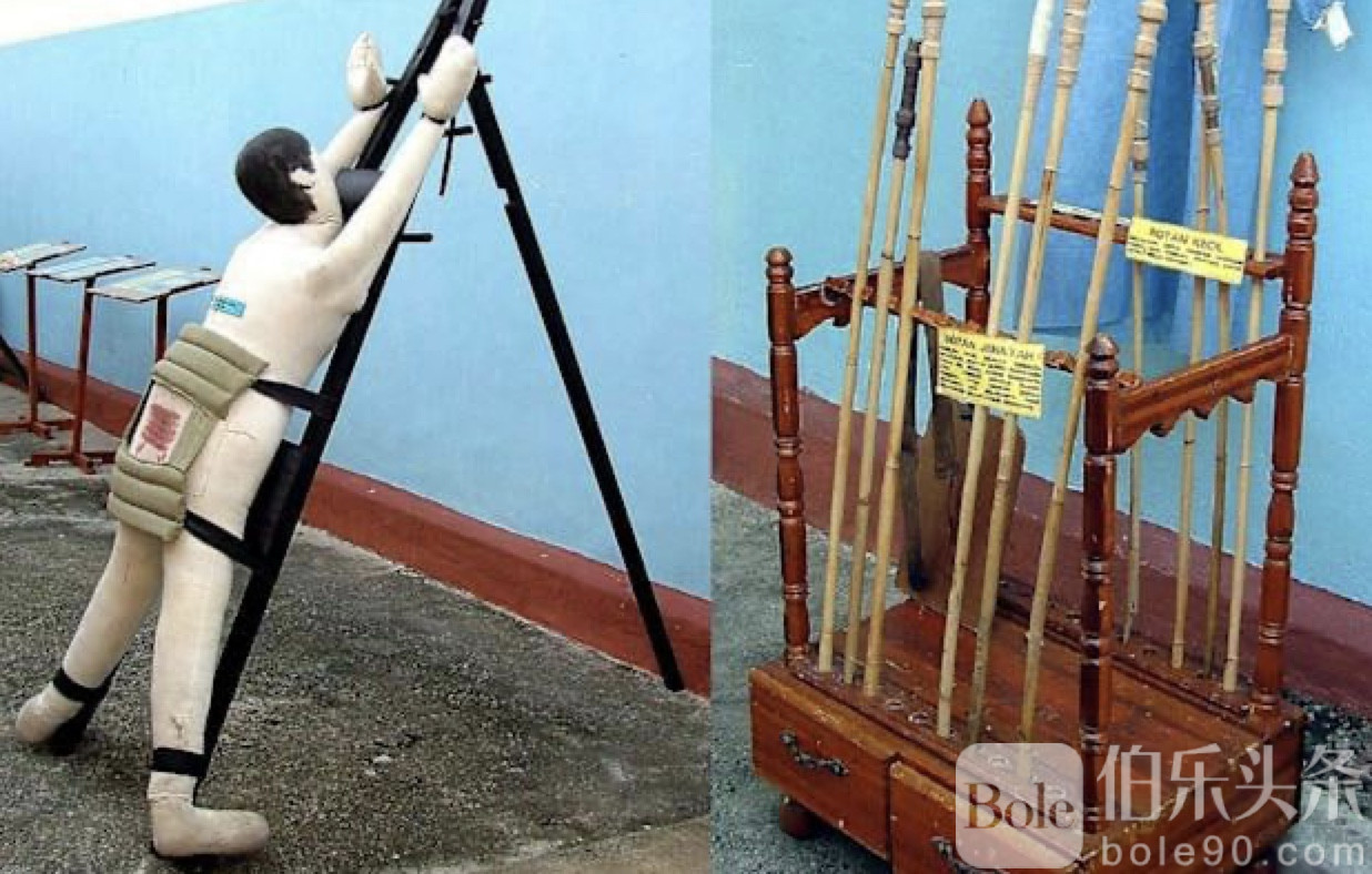 图像2025-12-31 12.18.jpeg