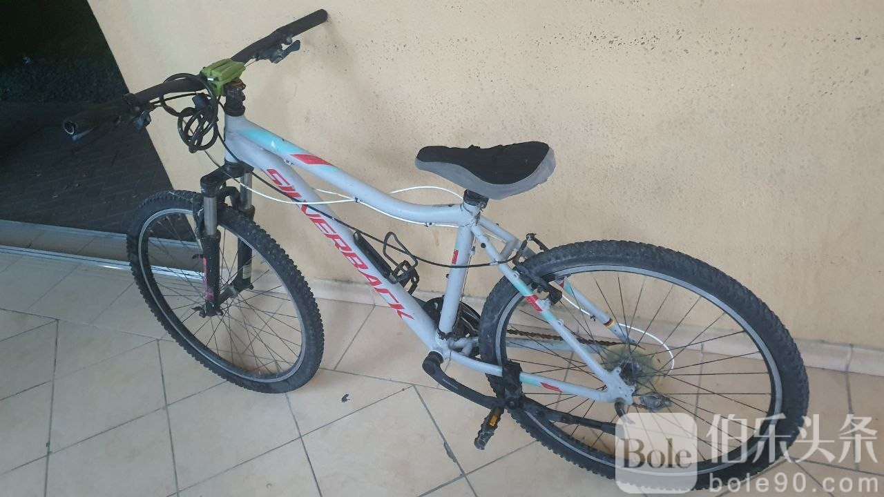 photo_2026-01-01 13.19.06.jpeg