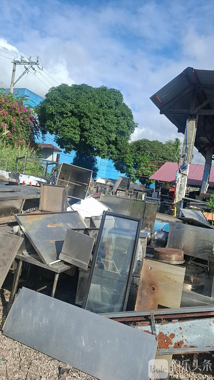 photo_2026-01-01 16.01.29.jpeg