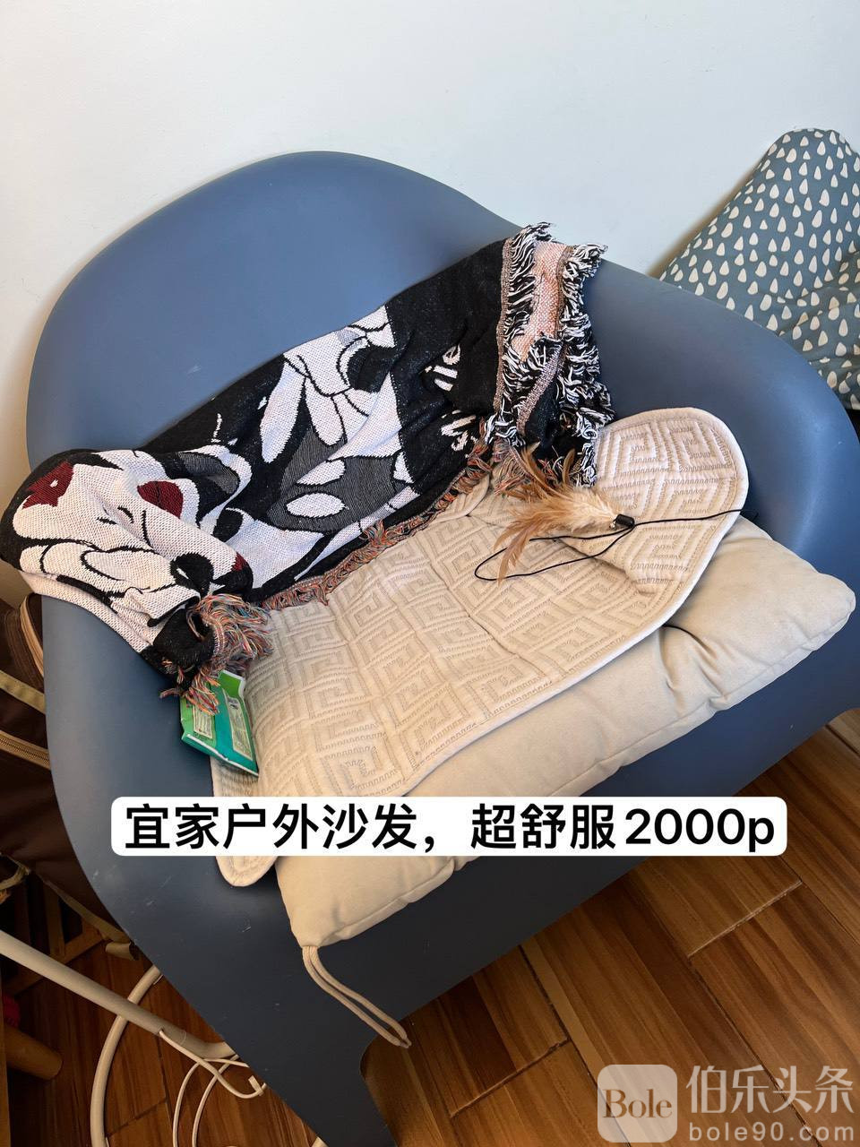 photo_2026-01-03 19.41.34.jpeg