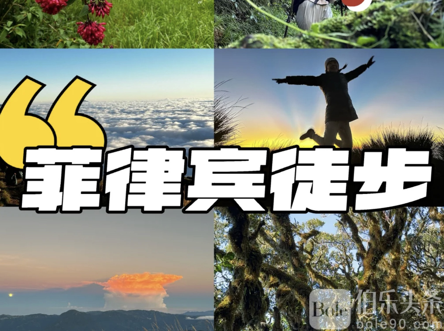 图像2026-1-12 11.32.jpeg