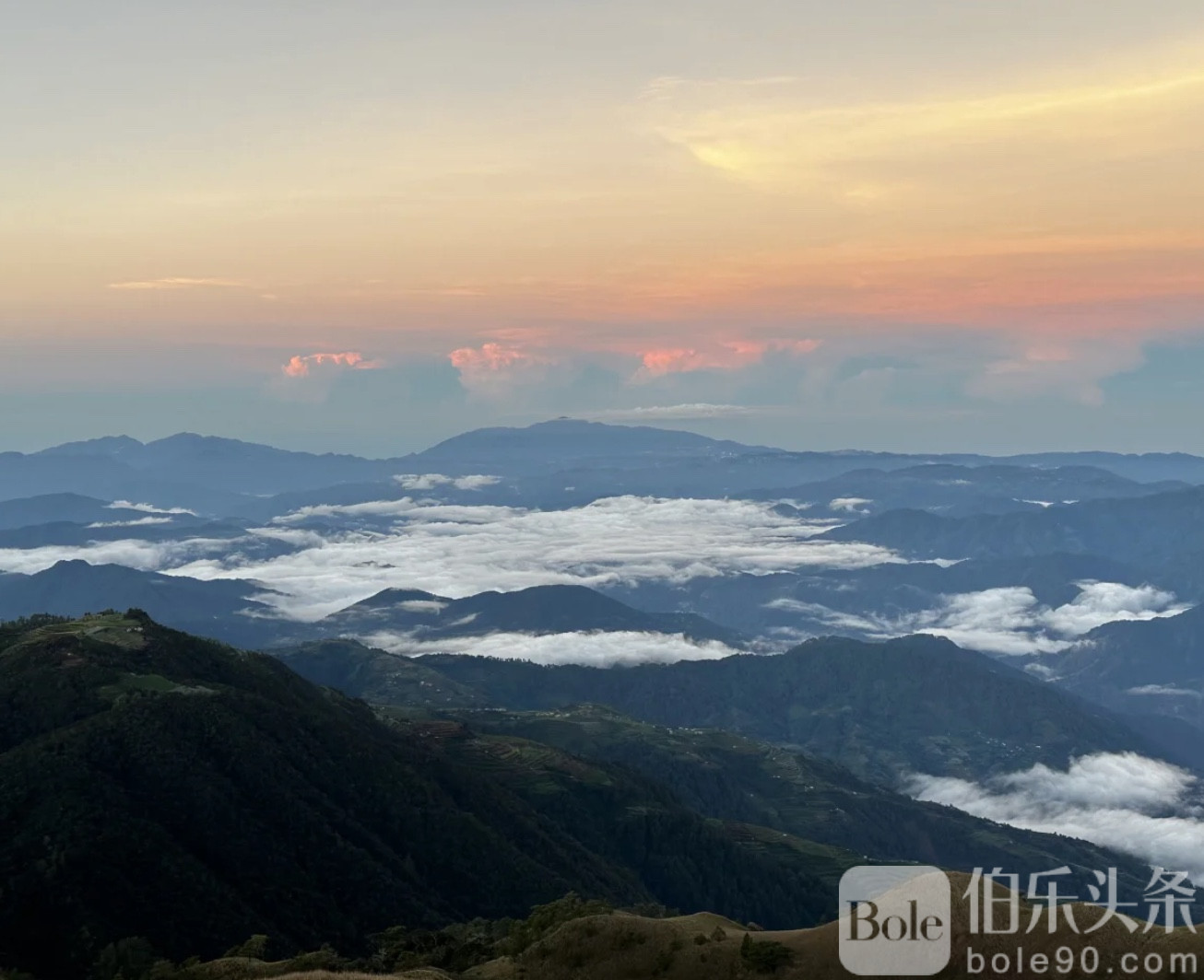 图像2026-1-12 11.33 (1).jpeg