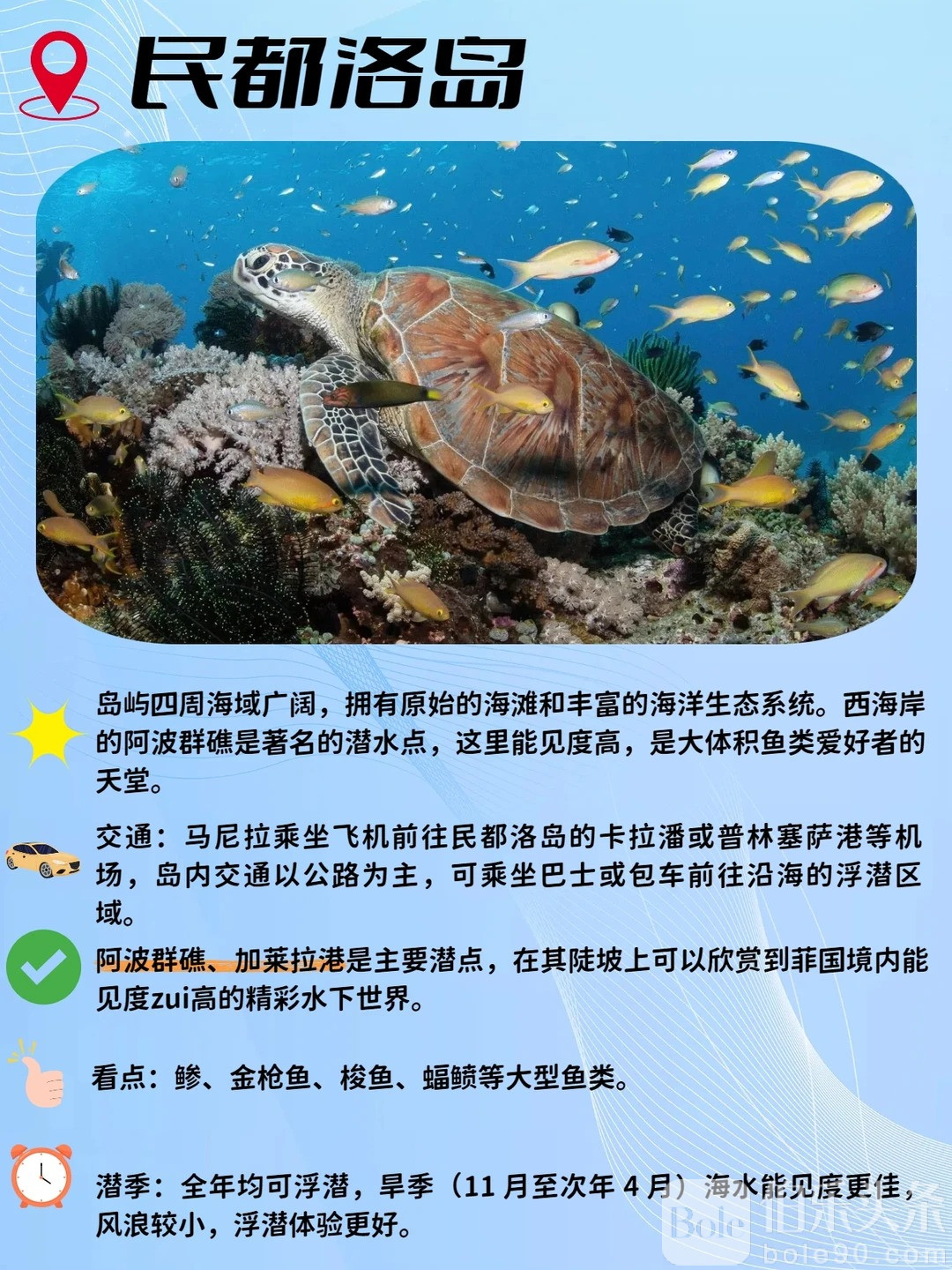 推荐五个超绝浮潜点！你都去过哪个？_3_蓝色巴拉望_来自小红书网页版.jpg