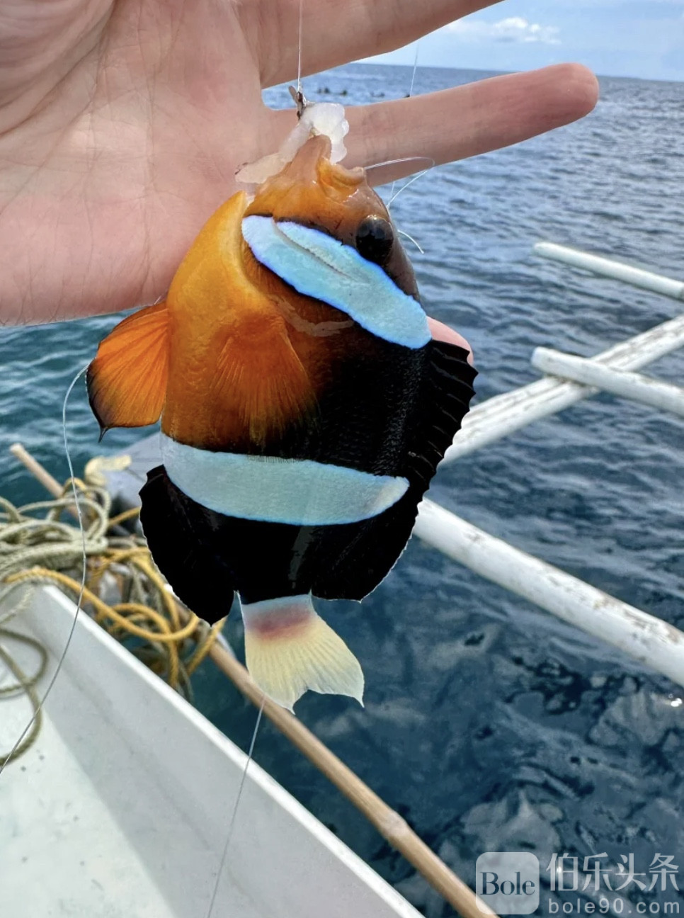 图像2026-1-26 11.26 (2).jpeg