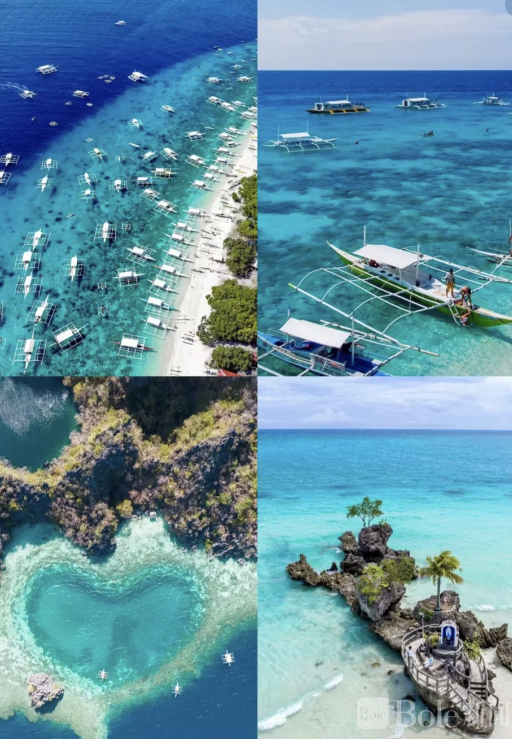 图像2026-2-5 13.55.jpeg