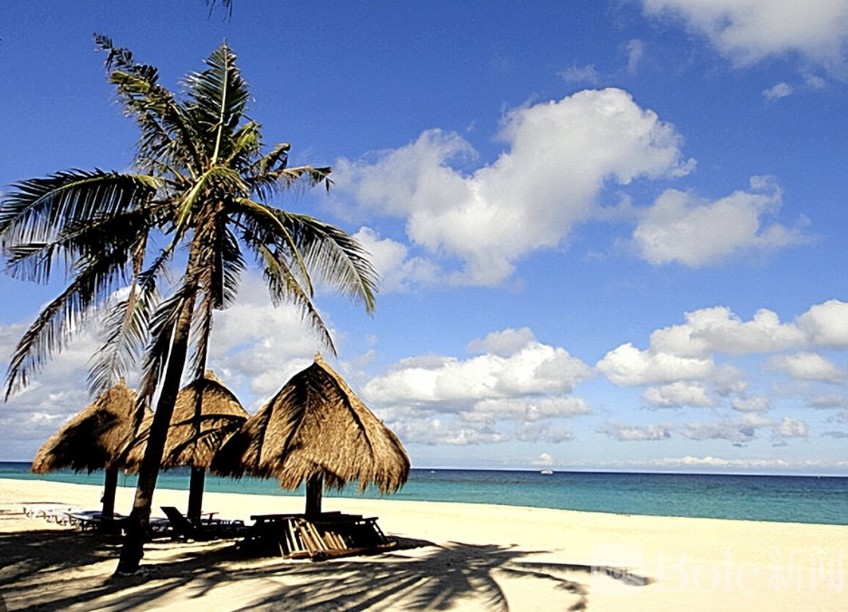 图像2026-2-5 13.57 (1).jpeg